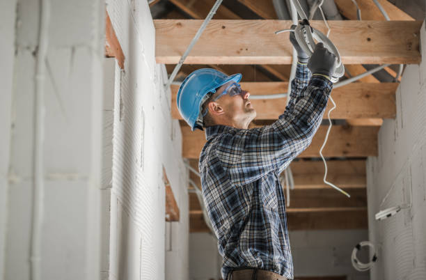 Best Electric Panel Repair  in Iona, FL